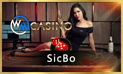 Bingoplus Slot Games